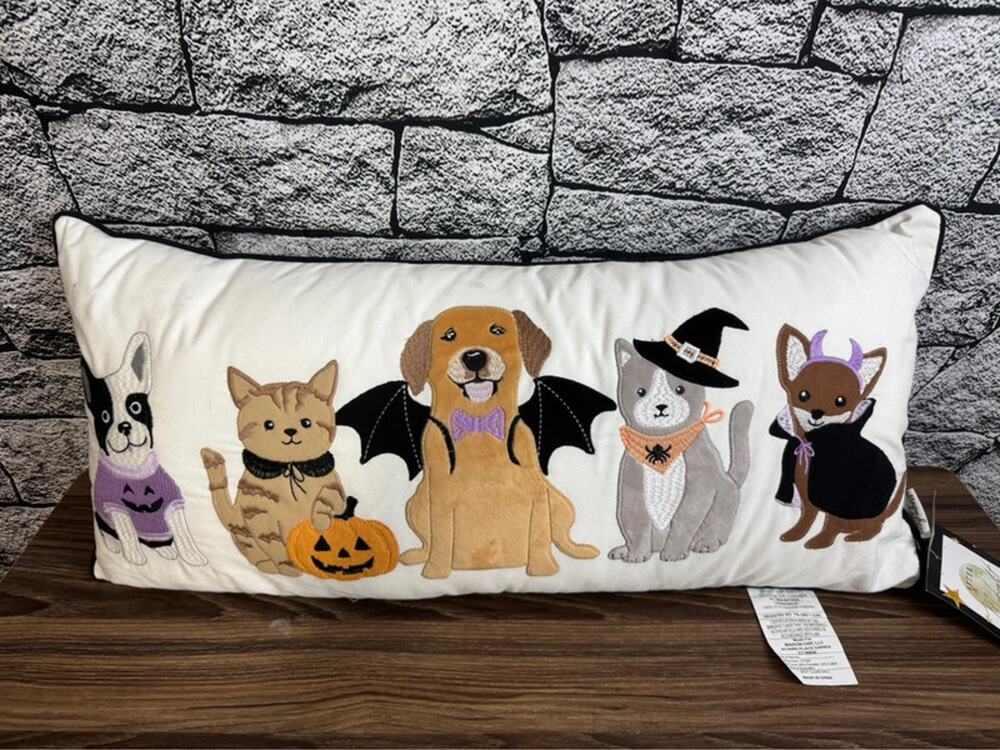 After Midnight Halloween Cat & Dog Pillow - 12x26